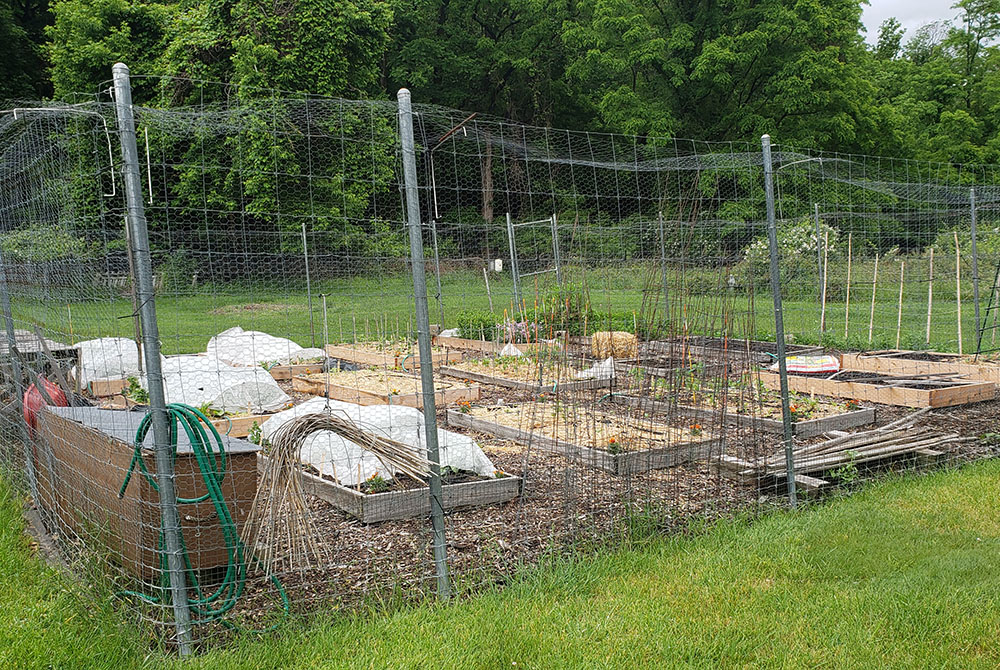 A garden in the area included in the land trust is surrounded by a fence meant to protect it from free-roaming deer. (EarthBeat photo/Chris Herlinger)
