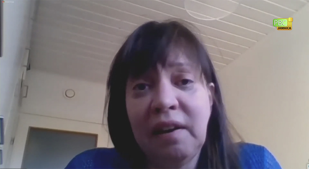 Sami Indigenous leader Anne Nuorgam speaks during the May 27 seminar sponsored by the Vatican and the U.N. Food and Agriculture Organization. (NCR screenshot)