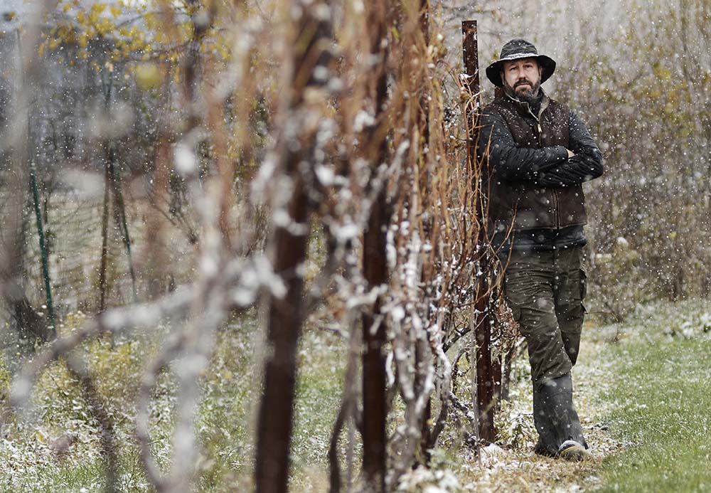 "We had our best year in 2019, ever. And then the pandemic struck," said Will Ouweleen, vintner in Conesus, New York, at O-Neh-Da Vineyard, which had produced sacramental wine for 150 years. (Courtesy of O-Neh-Da Vineyard)