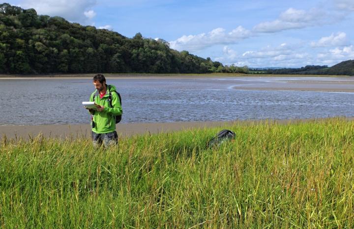Swansea researchers conduct saltmarsh vegetation surveys and record water levels on the Taf estuary, South Wales. Their study of estuaries shows the flood protection role of coastal wetlands has been underestimated. (Courtesy of Swansea University)
