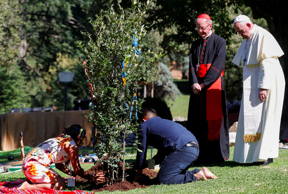 Pope Francis and Brazilian Cardinal Cláudio Hummes watch as a tree is planted in the Vatican gardens on Oct. 4, 2019, two days before the opening of the Synod for the Amazon. (CNS photo/Yara Nardi, Reuters)