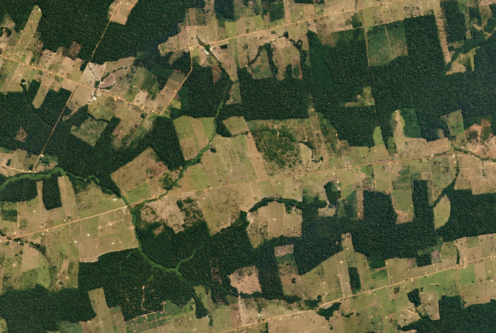 ia Viva: Rondônia and Acre states, Brazil - Trillion Trees