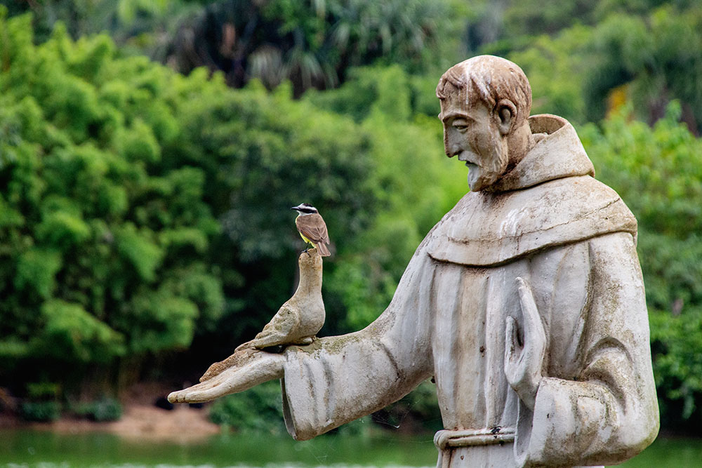 Why is Francis of Assisi the patron saint of ecology? | National Catholic  Reporter