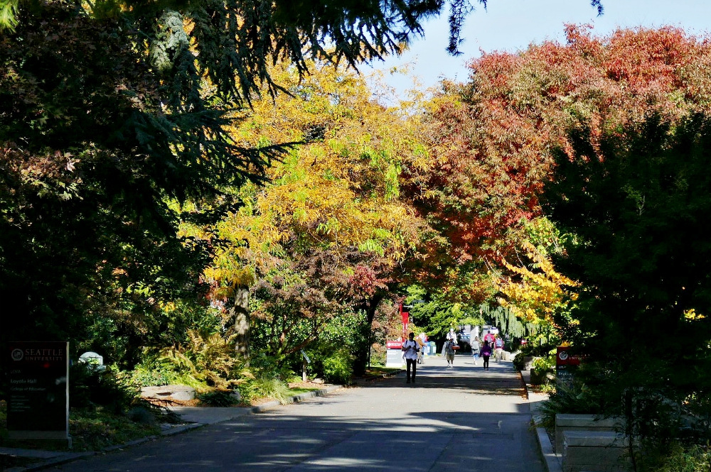 Autumn foliage is seen on the campus of Seattle University. The Jesuit university announced Sept. 19 that it will soon divest from fossil fuels. (Wikimedia Commons/Hermann Luyken) Autumn foliage is seen on the campus of Seattle University. The Jesuit university announced Sept. 19 that it will soon divest from fossil fuels. (Wikimedia Commons/Hermann Luyken)