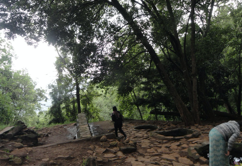 The holy springs at Kenya's Subukia National Shrine, which visitors believe hold healing powers, are rapidly disappearing due to droughts intensified by climate change. (Shadrack Omuka)