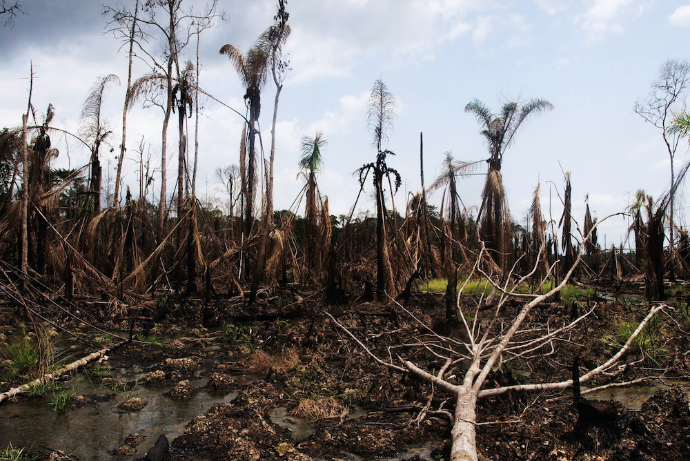 Oil spill damage in the Niger Delta region, April 6, 2010 (Flickr/Sosialistisk Ungdom) Oil spill damage in the Niger Delta region, April 6, 2010 (Flickr/Sosialistisk Ungdom)