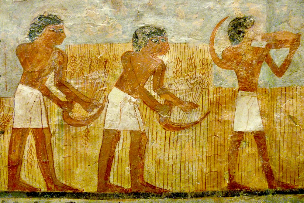 Detail from a mural in the tomb of Unsu, a grain accountant in Egypt, circa 1550-1069 B.C. (Wikimedia Commons/Siren-Com)