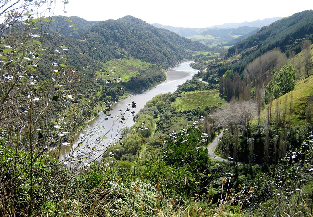 The Whanganui River between Matahiwi and Jerusalem, New Zealand (Wikimedia Commons/Prankster)