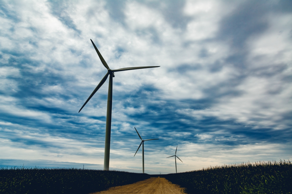 Wind turbines are seen in Iowa in August 2017. (Wikimedia Commons/Tony Webster)