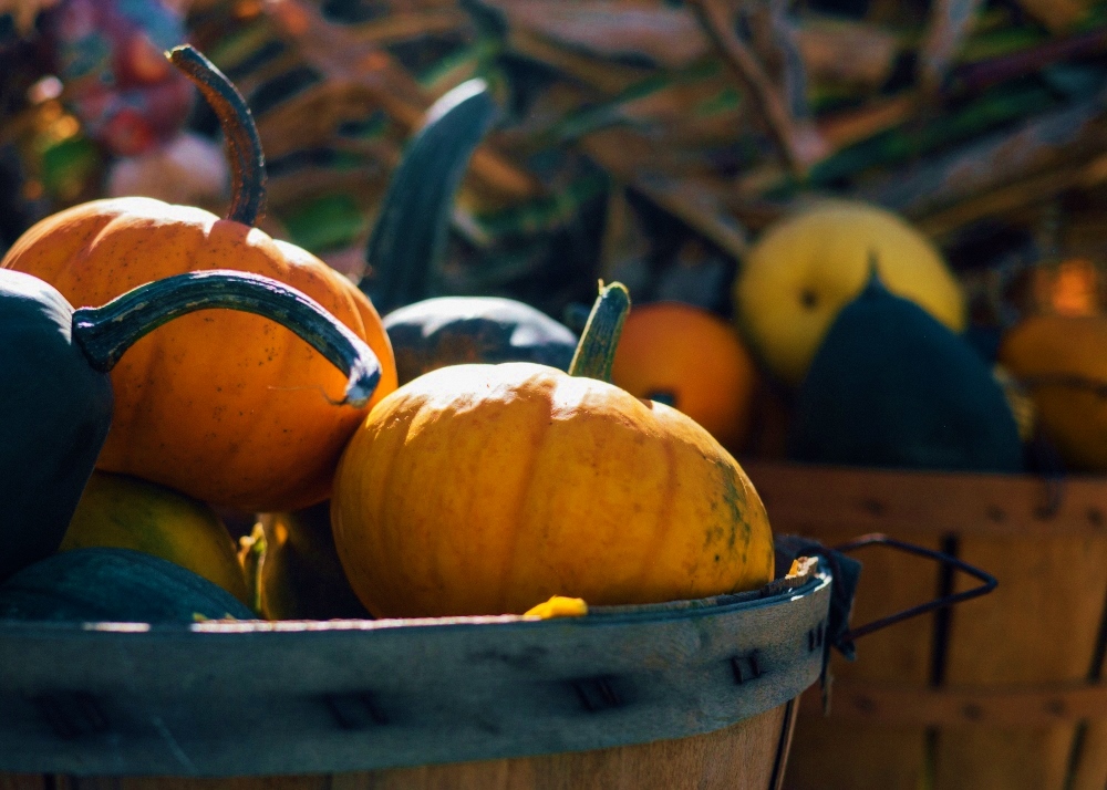 pumpkins pumpkins