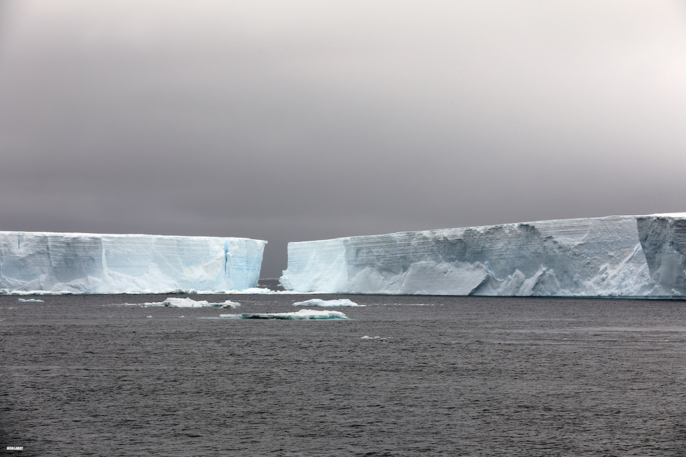Glaciers and icebergs in Antarctica (Mongabay) Glaciers and icebergs in Antarctica (Mongabay)