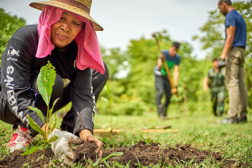 Photo of woman planting with other people out of focus in background. (Unsplash/Dmitry Dreyer)