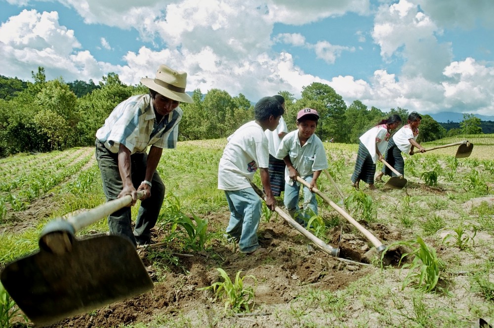 A Mayan family works their dry farmland in Huehuetenango Department, Guatemala, in 2016. (Dreamstime/Fotografie Sjors)