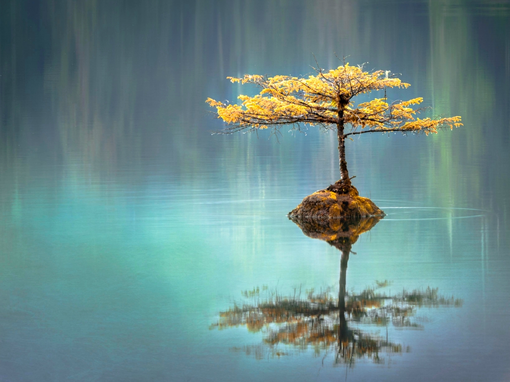 (Unsplash/Faye Cornish) (Unsplash/Faye Cornish)