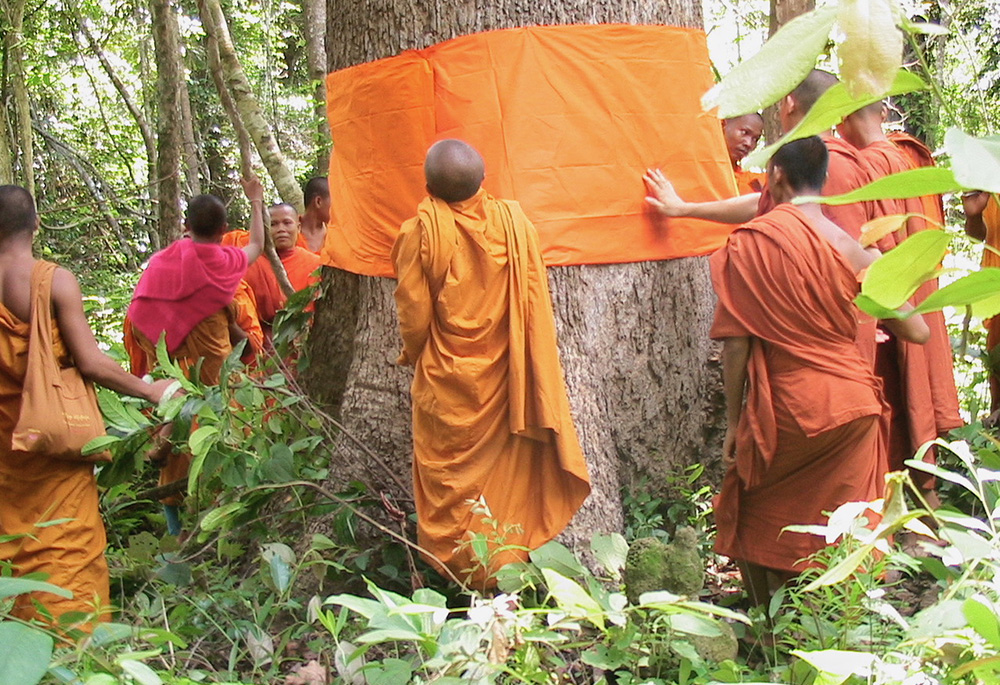 Buddhist monks in Cambodia 'ordain’ a tree, part of an award-winning conservation program to protect a community forest. (Courtesy of FaithInvest) Buddhist monks in Cambodia 'ordain’ a tree, part of an award-winning conservation program to protect a community forest. (Courtesy of FaithInvest)