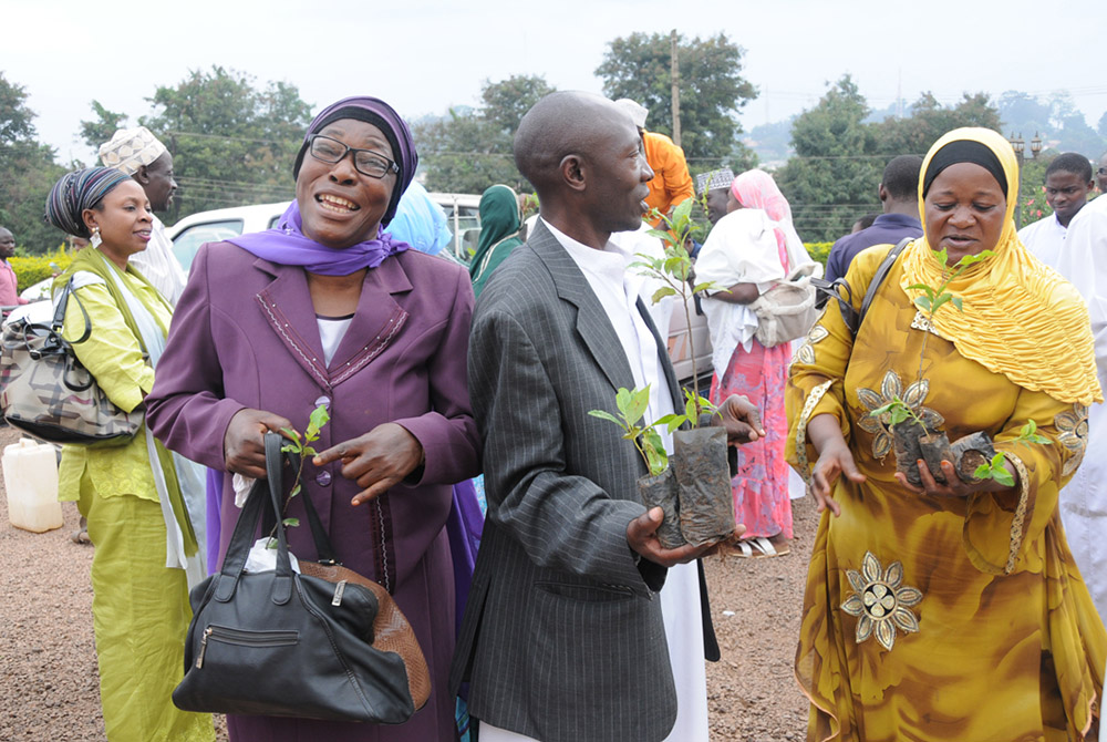 Ugandan Muslims receive tree seedlings during Greening Friday, an annual day to celebrate the environment, which has seen 250,000 trees planted since 2010. (Courtesy of FaithInvest)