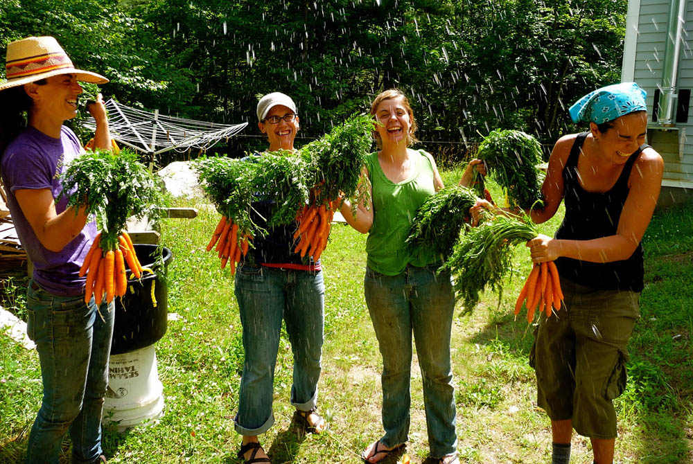 Members of the U.S.-based Jewish environmental group Hazon, which promotes sustainable agriculture, harvest carrots. Hazon is one of 27 partners supporting the Faith Plans program. (FaithInvest)