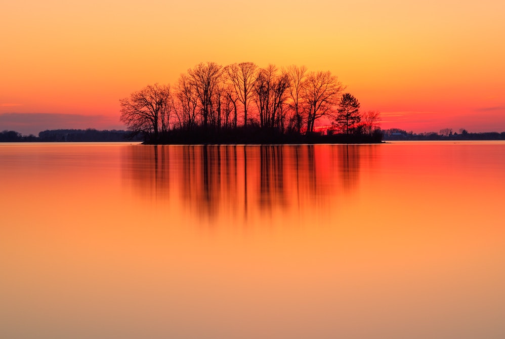 Bare trees seen in the distance grouped on an island