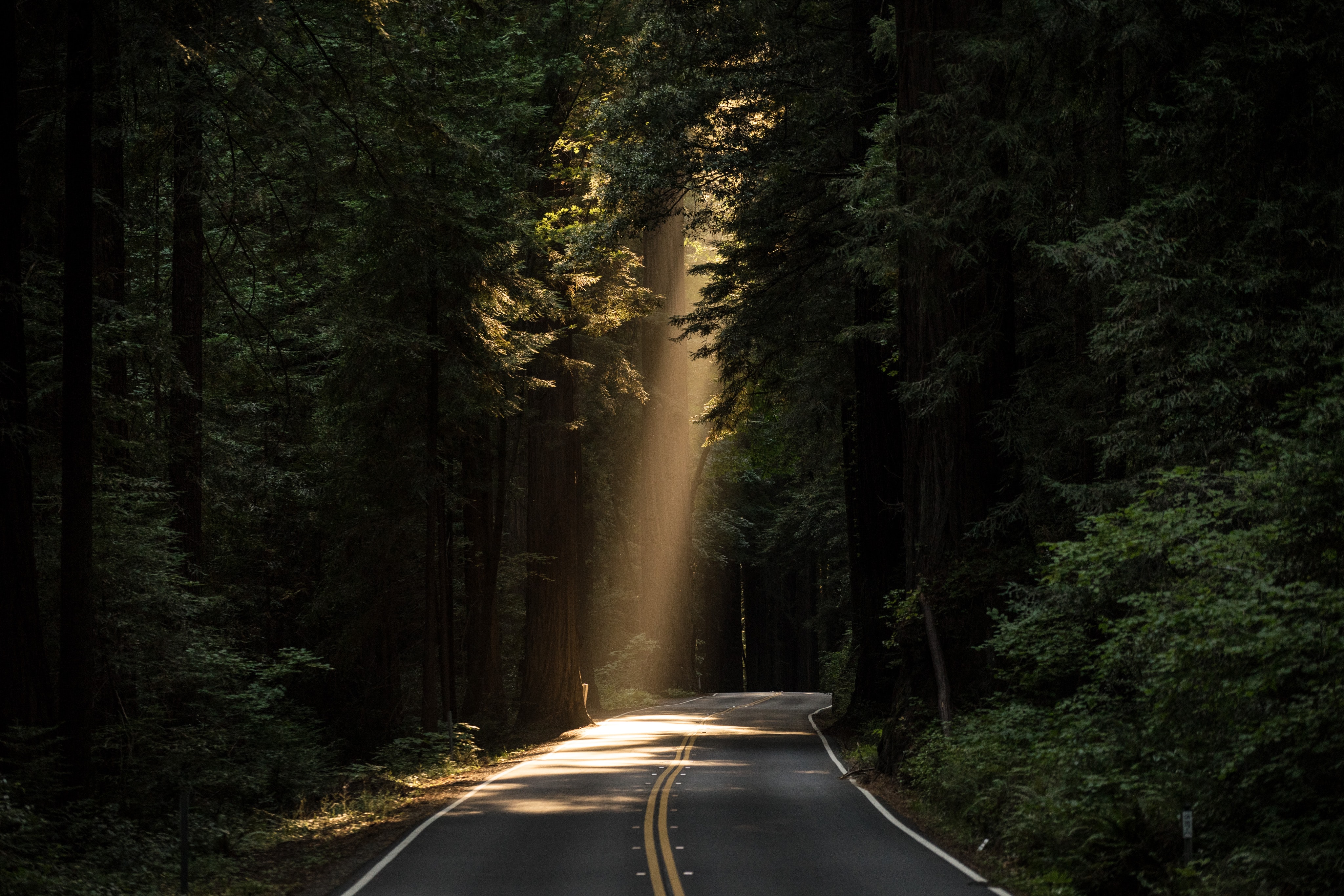 (Unsplash/John Towner) (Unsplash/John Towner)