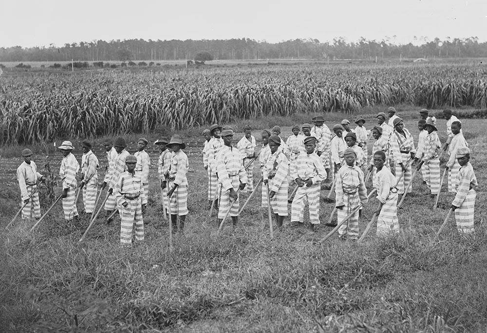 Juvenile convicts at work in fields, circa 1903 (Library of Congress/Detroit Publishing Company Collection)