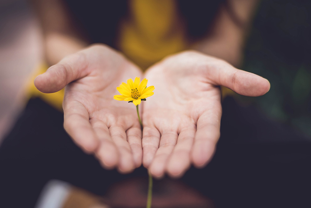 (Unsplash/Lina Trochez) (Unsplash/Lina Trochez)