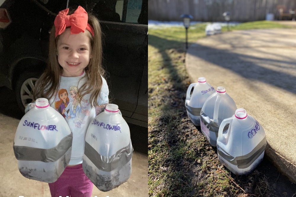 Left: Dan's 4-year-old helps to plant their milk jug native plant garden. Right: Milk jug gardens planted and situated along the pavement. (Photos courtesy of Dan Masterton)