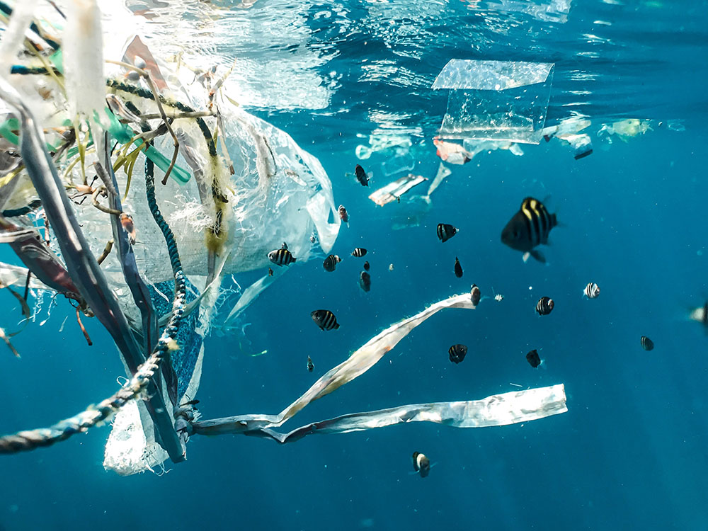 Plastic litter is seen among fish in Indonesia. (Unsplash/Naja Bertolt Jensen)