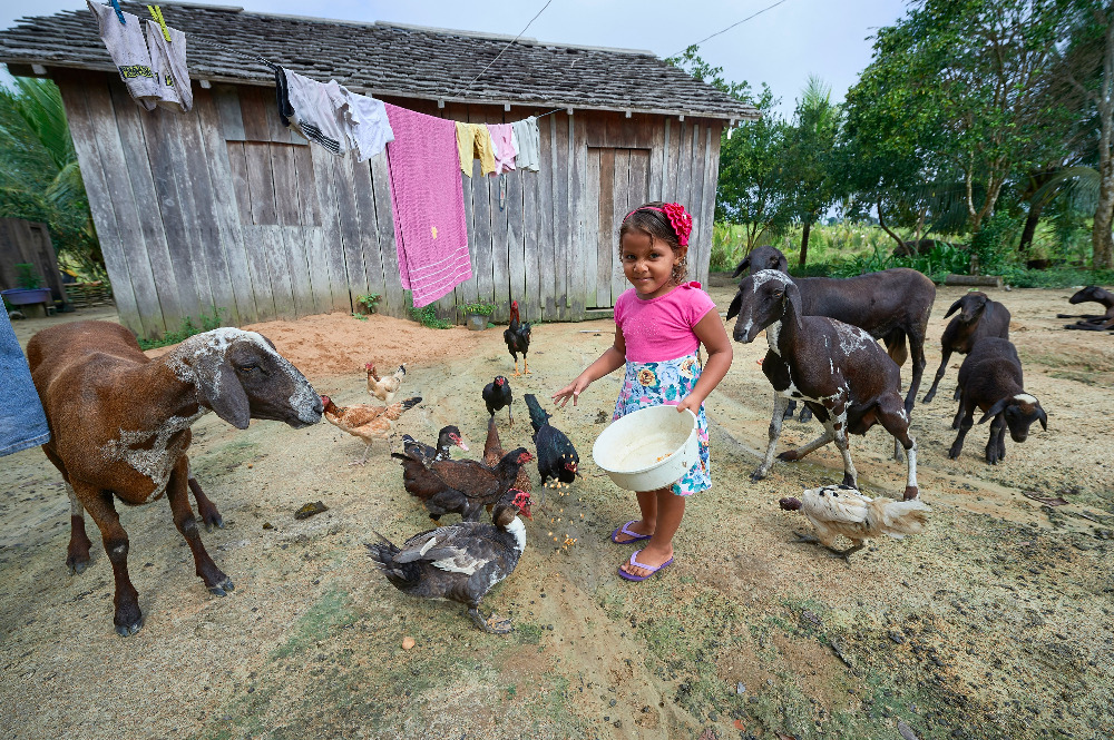 Sindy Kelly Saraiva, 4, feed animals at her home in the countryside near Anapu, in Brazil's northern Pará state. This once-forested area now sees a high rate of land conflicts. (CNS Photo/Paul Jeffrey)