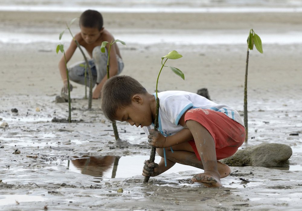 Two boys plant mangrove seedlings in the tidal zone on the west coast of the Indonesian island of Nias. Mangrove swamps provide habitat for fish and shellfish and help buffer against storms that are becoming more frequent and severe as the climate warms.