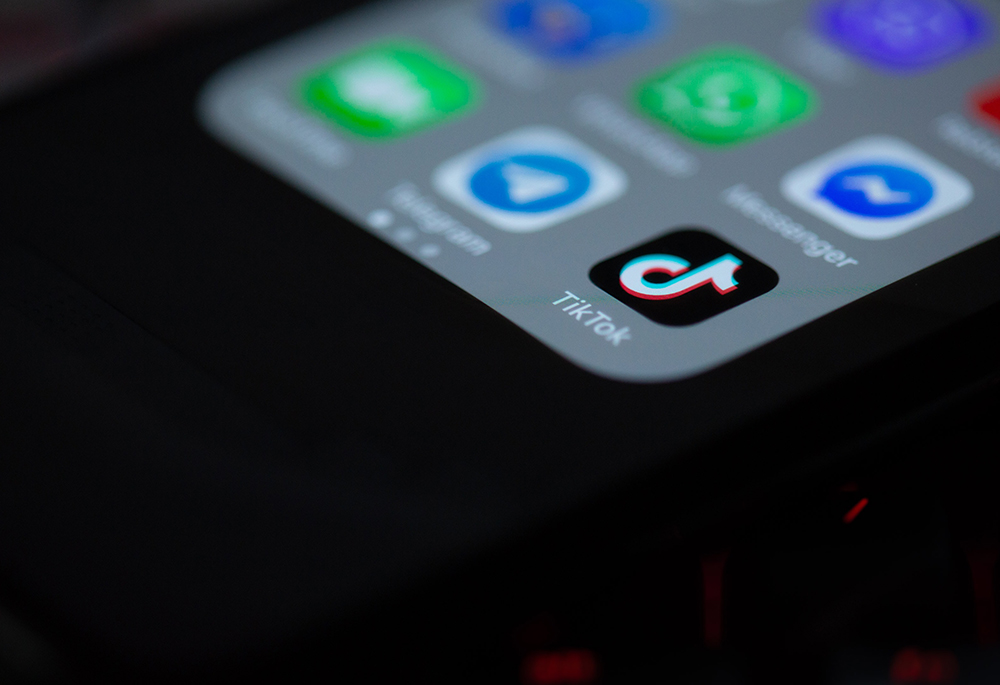 poneglyph notifier|TikTok Search