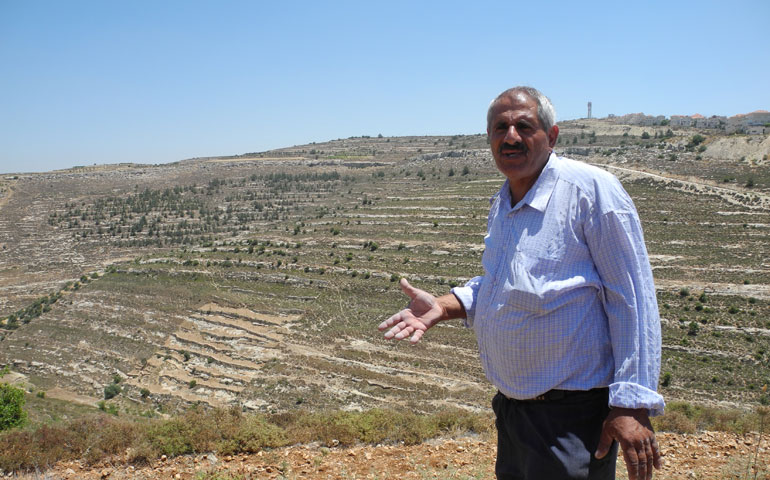 Daher Nassar points out the orchard destroyed by Israeli military bulldozers May 19. (Photos by Melanie Lidman)