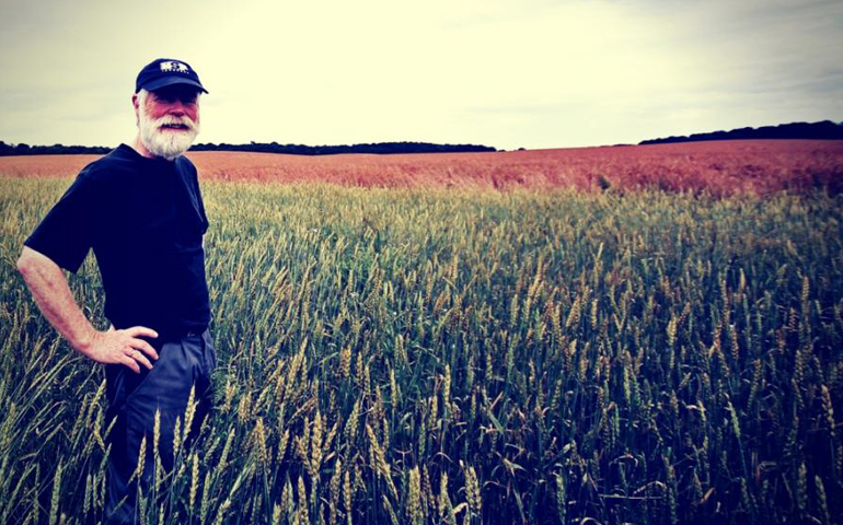 A famer stands in a wheat field in the United States, where the largest 4 percent of farms control 55 percent of all the farmland. (Pixabay stock photo)