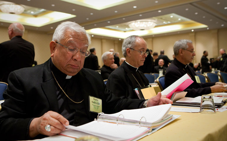 Bishops look over documents at the opening session of their annual fall meeting in Baltimore Nov. 12. (CNS/Nancy Phelan Wiechec)