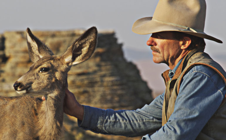 Naturalist Joe Hutto strokes the neck of a mule deer in the Riverton area of Wyoming. The PBS documentary "Touching the Wild" features Hutto's six-year stint with a mule deer herd in Wyoming's mountainous wilderness. (©THIRTEEN Productions LLC)