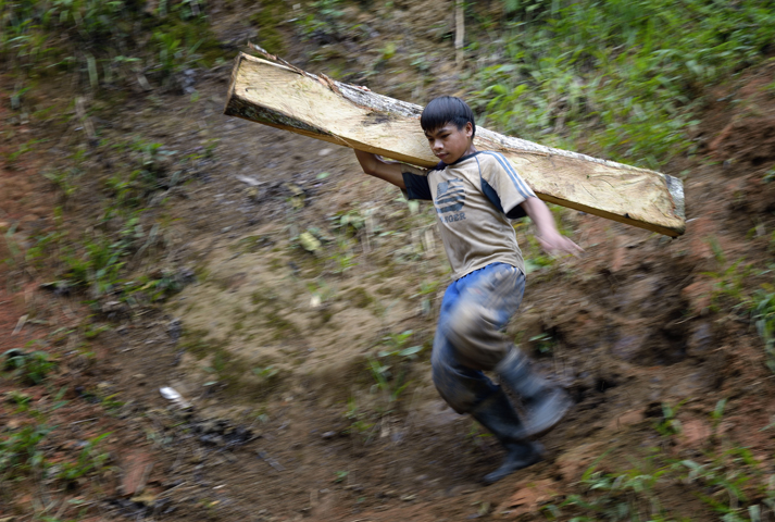 A boy carries a wooden timber destined for a mine tunnel in Pamintaran, a remote gold mining community near Maragusan on the Philippines' southern island of Mindanao, in a June 2013 file photo. (CNS photo/Paul Jeffrey) 
