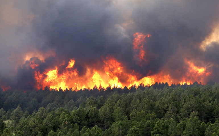 A wildfire rages in the Black Forest northeast of Colorado Springs, Colo., June 12. (CNS photo/Rick Wilking, Reuters)