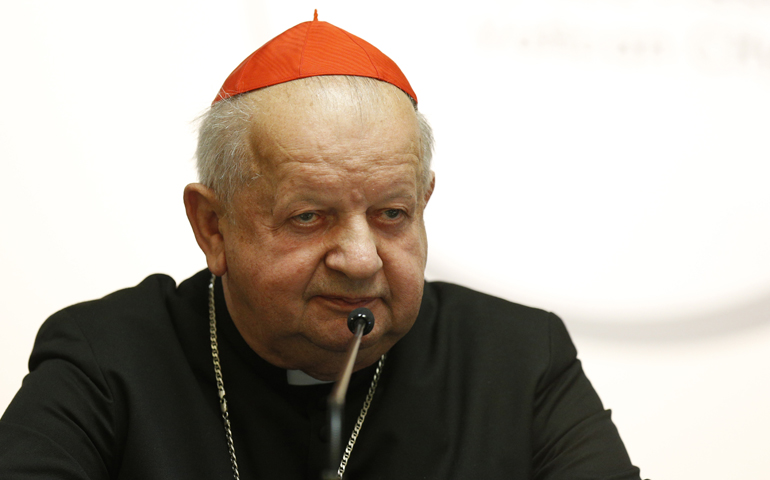 Cardinal Stanislaw Dziwisz, in a 2014 file photo (CNS/Paul Haring)
