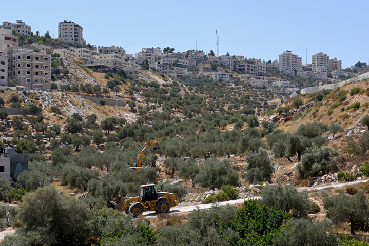 Israeli heavy equipment loads an olive tree after it was uprooted to to make way for the controversial separation barrier in the Cremisan Valley in Beit Jalla, West Bank, Aug. 20. (CNS/Debbie Hill)