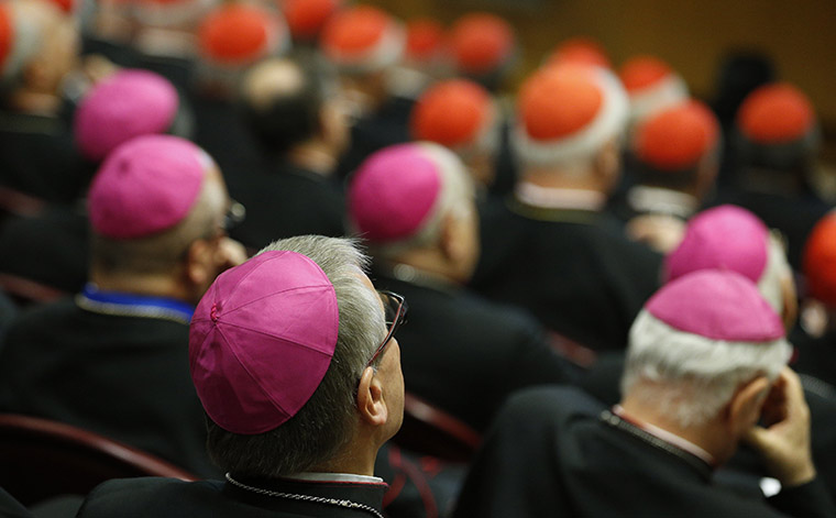 Bishops and cardinals attend a session of the Synod of Bishops on the family at the Vatican Oct. 24. (CNS/Paul Haring)