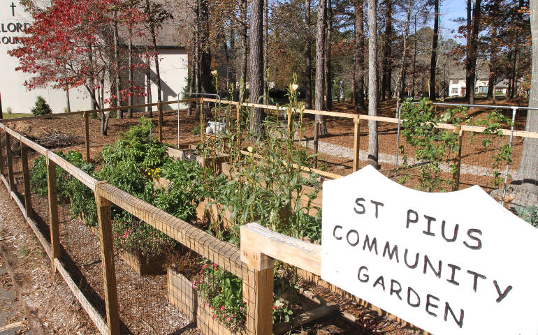The community garden at St. Pius X Church in Conyers, Ga., which was started in March, is seen Nov. 20. The garden, which feeds families in need, is an example of ways the Atlanta archdiocese hopes Catholics and parishes can implement Pope Francis' encyclical on the environment. (CNS photo/Michael Alexander, Georgia Bulletin)