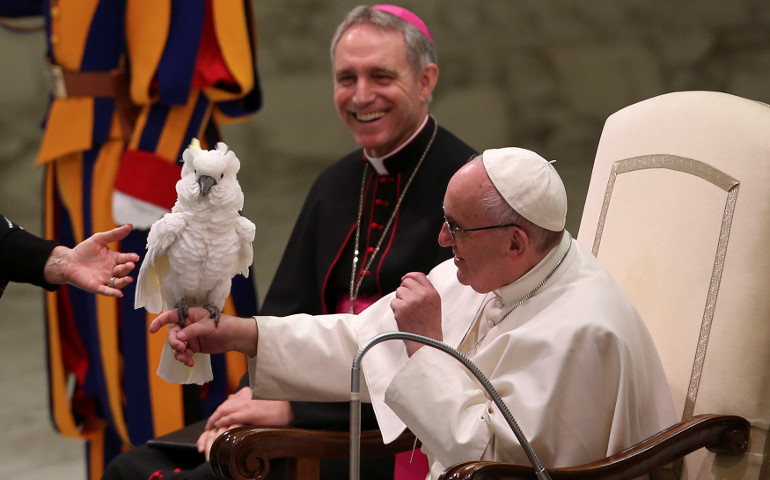 Pope Francis receives a parrot from a performer with the Golden Circus during his Dec. 28 weekly audience in Paul VI hall at the Vatican. (CNS / Reuters / Alessandro Bianchi) 