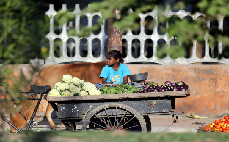An Indian girl sells vegetables in Amritsar, India, Aug. 3, 2016. In a letter to bishops commemorating the feast of the Holy Innocents Dec. 28, Pope Francis said children must be protected from exploitation, slaughter and abuse, which includes committing to a policy of "zero tolerance" of sexual abuse by clergy. (CNS photo/Raminder Pal Singh, EPA)