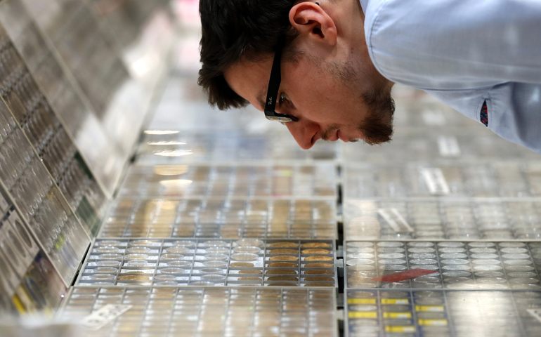 A man examines coins displayed at the World Money Fair in Berlin Feb. 3. (CNS photo/Felipe Trueba, EPA)