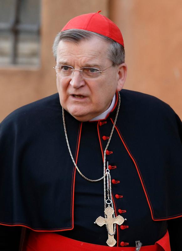 Cardinal Raymond Burke is pictured in a 2014 photo. (CNS photo/Paul Haring)