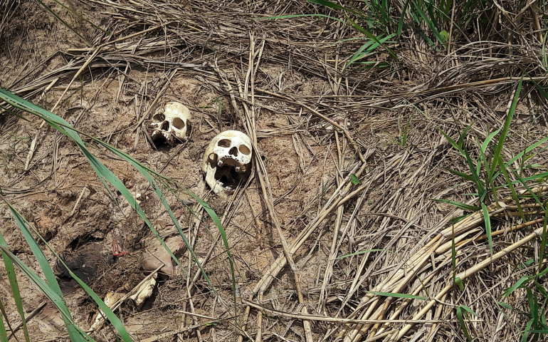 Human skulls suspected to belong to victims of a recent fight between the Congolese army and Kamuina Nsapu militia are seen March 12 on the roadside near Kananga, Congo. (CNS/Aaron Ross, Reuters)