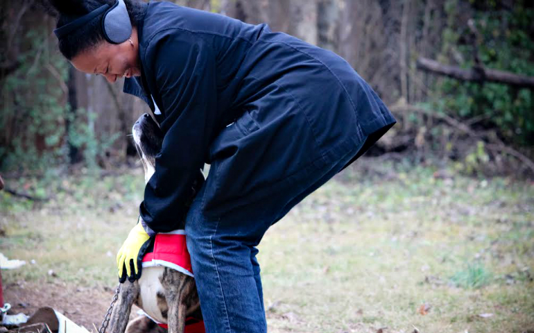 Akisha Townsend Eaton, one of the co-founders of the St. Francis Alliance, takes a break from volunteering to play with a dog. The effort sought to to assist Nashville, Tenn., residents unable to afford resources to help their four-legged friends endure the winter elements. (Nathan Walters)