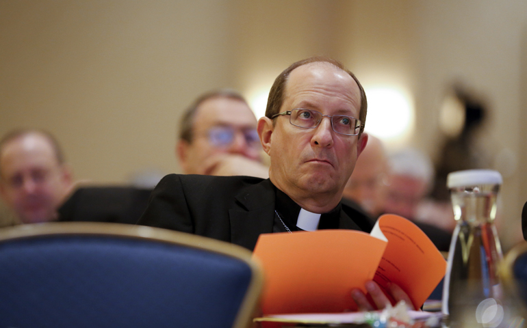 Bishop David John Walkowiak of Grand Rapids, Mich., listens to a discussion Tuesday on budget items during the annual fall meeting of the U.S. Conference of Catholic Bishops in Baltimore. (CNS/Nancy Phelan Wiechec)