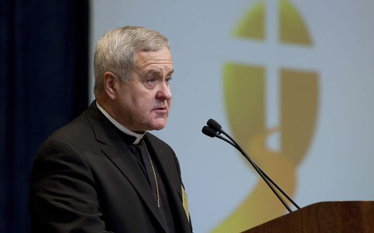 Archbishop Robert Carlson of St. Louis speaks at a USCCB meeting in 2012. (CNS/Nancy Phelan Wiechec)