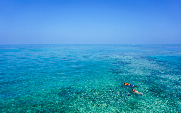 People swimming at a coral reef. (Unsplash.com/Dan Gold)
