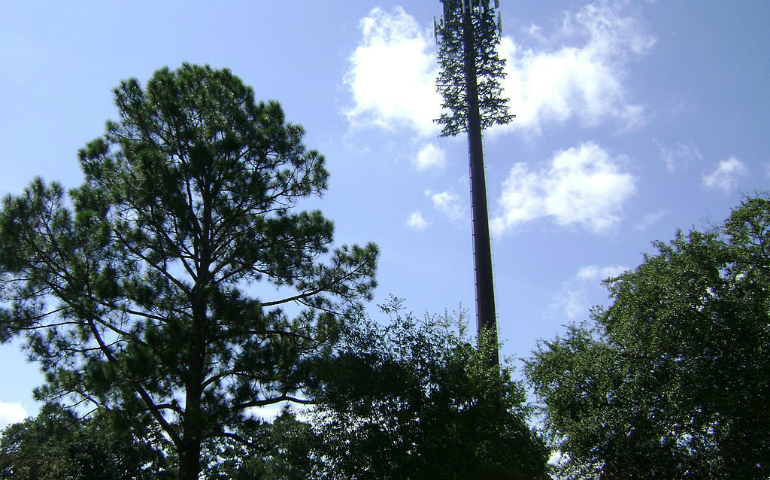 Sunset Hill Cemetery in Valdosta, Georgia, has a "fake tree" cell phone tower, right. (Wikimedia Commons/Michael Rivera)